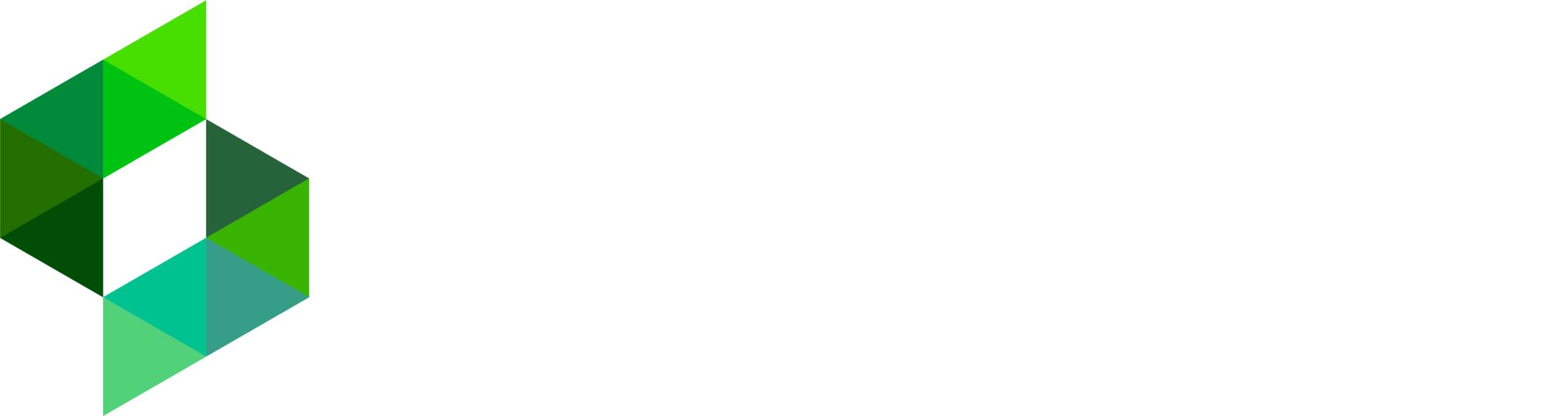 Logo Footer